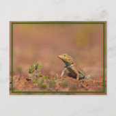 小さい男 ポストカード (正面)