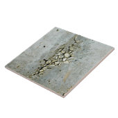 小さい石が付いている割れたコンクリートの壁 タイル (側面)