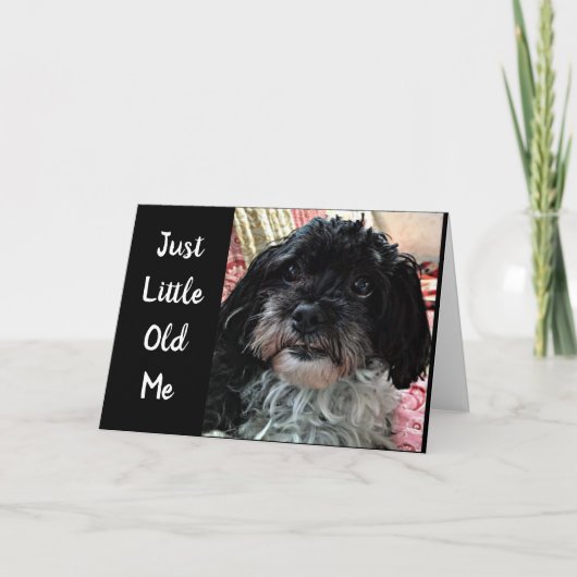 小さい私頼**どうだ?*** カード (正面)