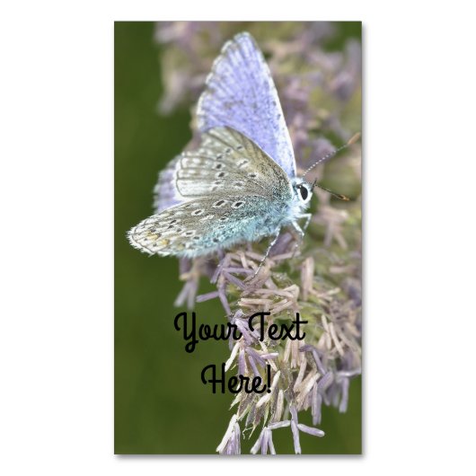 小さい美しい マグネット名刺 (正面縦)