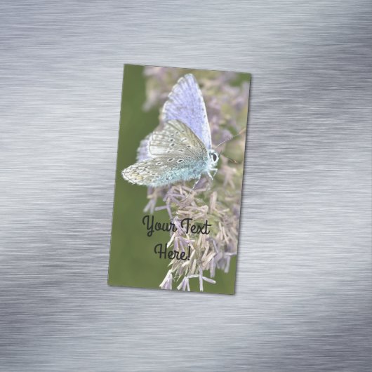 小さい美しい マグネット名刺 (インサイチュ)