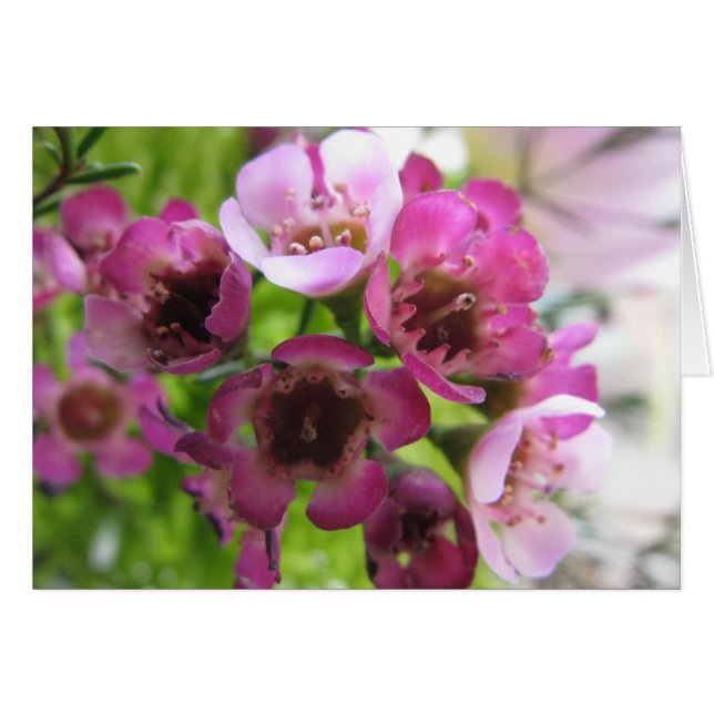 小さい花束 (正面横)