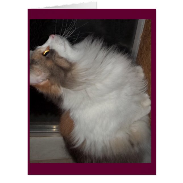 小さい若い女性 (正面)