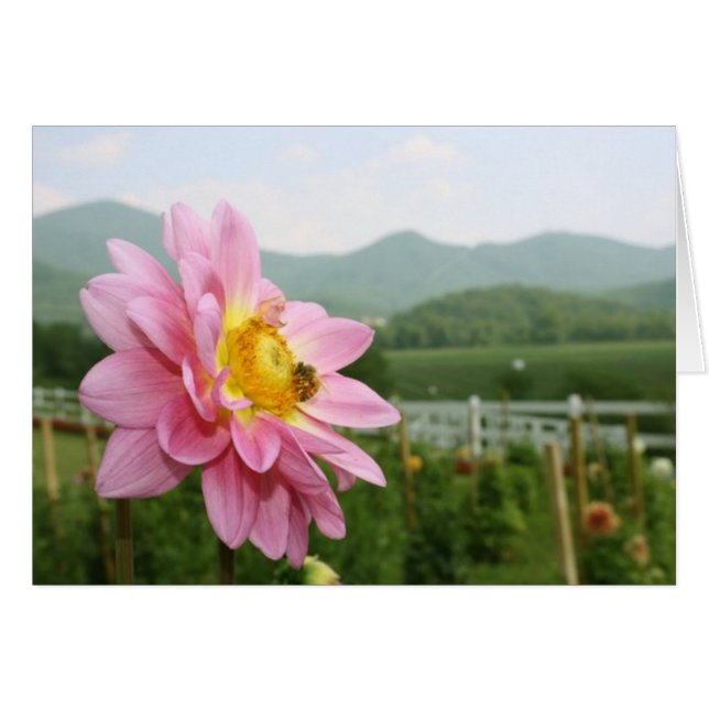 小さい蜂の大きい世界 (正面横)