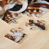 小さい貝殻 ジグソーパズル (側面)