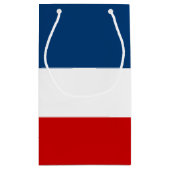 小さい赤く白くおよび青のギフトバッグ-光沢のある スモールペーパーバッグ (裏面)