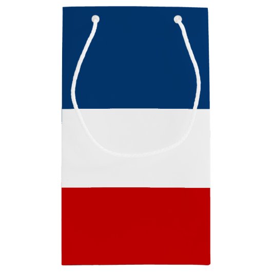 小さい赤く白くおよび青のギフトバッグ-光沢のある スモールペーパーバッグ (裏面)