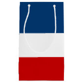 小さい赤く白くおよび青のギフトバッグ-光沢のある スモールペーパーバッグ (正面)