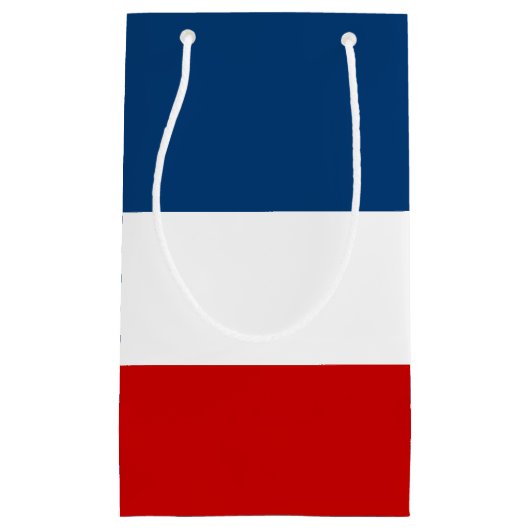 小さい赤く白くおよび青のギフトバッグ-光沢のある スモールペーパーバッグ (正面)