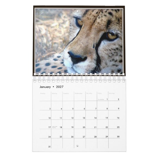 小さい野生動物はカレンダー2012年に直面します カレンダー (1月 2027)