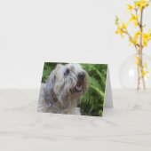 小さい静かに上塗を施してあるWheatenテリアのブランクのメッセージカード カード (黄色い花)