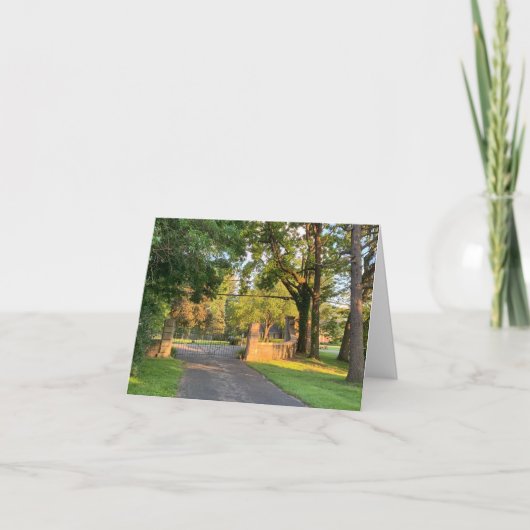 小さい4" x 5.6インチ折り畳みグリーティングカード サンキューカード (正面)