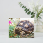 小さい ポストカード (スタンド正面)