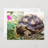 小さい ポストカード (正面/裏面)