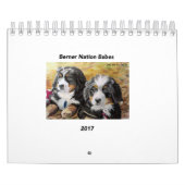 小さいBernerの国家の可愛い人2017のカレンダー カレンダー (カバー)