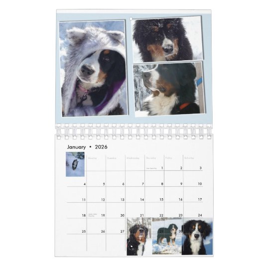 小さいBernerの国家の可愛い人2017のカレンダー カレンダー (1月 2026)