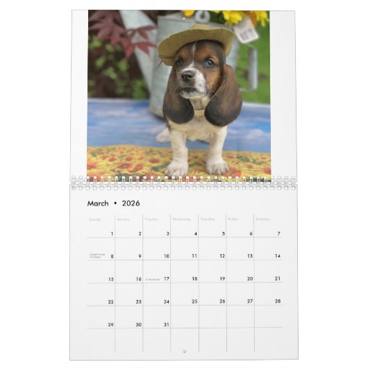 小さいEを特色にするバセットハウンドのカレンダー カレンダー (3月 2026)
