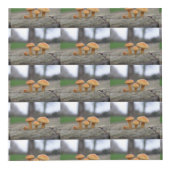 小さいToadstoolsマクロパーソナライズされた フォトキューブ (右)