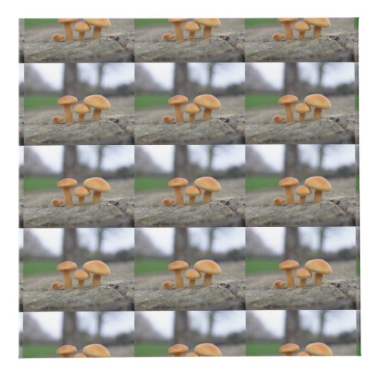 小さいToadstoolsマクロパーソナライズされた フォトキューブ (右)