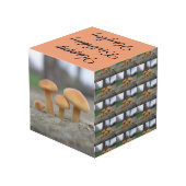 小さいToadstoolsマクロパーソナライズされた フォトキューブ (裏面アングル)