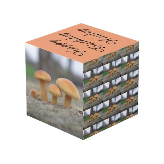 小さいToadstoolsマクロパーソナライズされた フォトキューブ (裏面アングル)