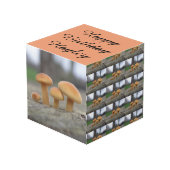 小さいToadstoolsマクロパーソナライズされた フォトキューブ (正面アングル)