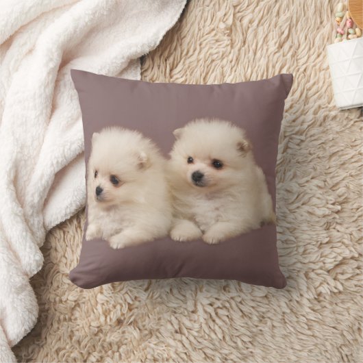小さくてふわふわした白いポメラニア犬の子犬枕 クッション (ブランケット)