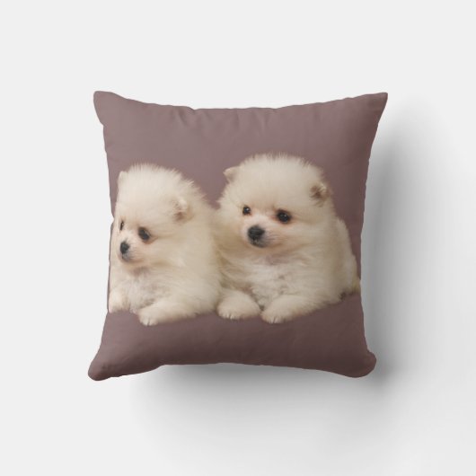 小さくてふわふわした白いポメラニア犬の子犬枕 クッション (裏面)