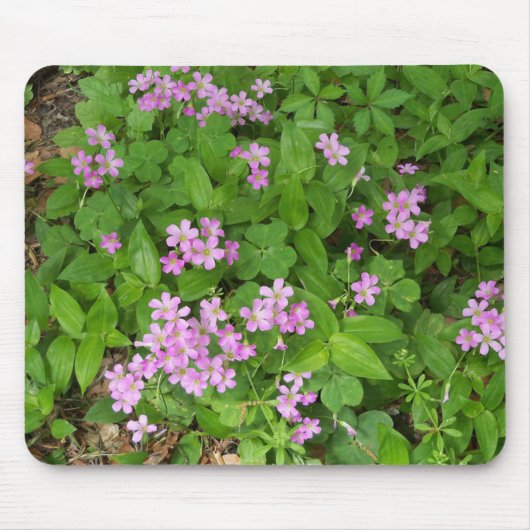 小さくてピンクの上品な野の花 マウスパッド (正面)