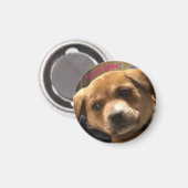 小さく丸いサッシー・レエロ！マグネット マグネット (正面/裏面)