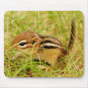 小さく小さいベビーのシマリス マウスパッド