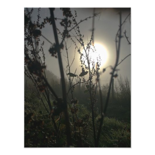 小さく見ると大きい フォトプリント            (正面)