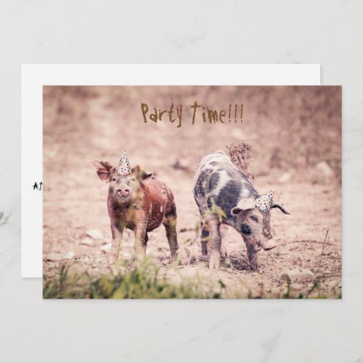 小さく豚のようなパーティの招待状 招待状 (正面/裏面)