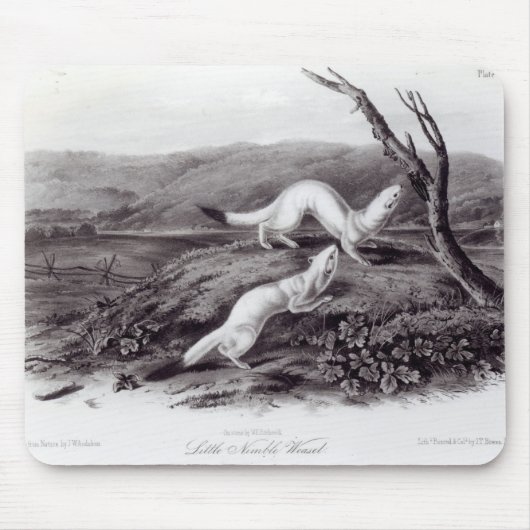 小さく賢いイタチ マウスパッド (正面)