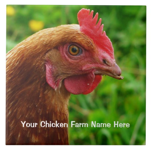 小さく赤い置く雌鶏- RIRまたはISAブラウンの鶏 タイル (正面)