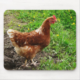 小さく赤い鶏-放し飼いの卵の層 マウスパッド