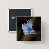 小さく青い蝶正方形Pin 缶バッジ (正面&裏面)