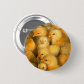 小さく黄色いひよこ 缶バッジ (正面&裏面)