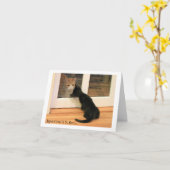 小さく黒い子ネコおよびオレンジ虎猫猫 カード (黄色い花)