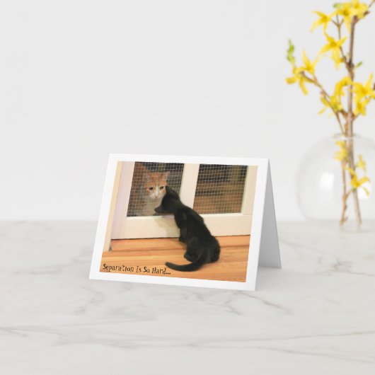 小さく黒い子ネコおよびオレンジ虎猫猫 カード (黄色い花)