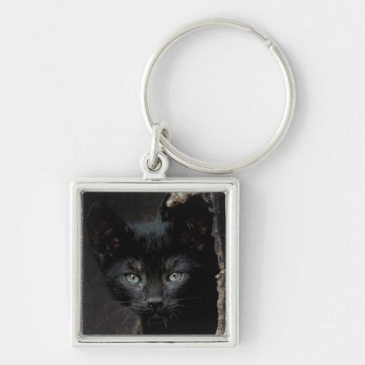 小さく黒い子猫 キーホルダー (正面)