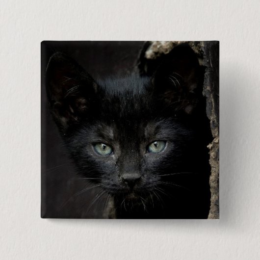 小さく黒い子猫 缶バッジ (正面)