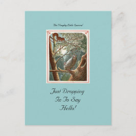 小さないけなリスのはがき ポストカード