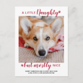 小さないけな犬のパーソナライズされたペット写真Holida ポストカード (正面)