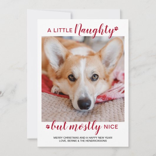 小さないけな犬パーソナライズされたのペット写真 シーズンカード (正面)