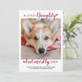 小さないけな犬パーソナライズされたのペット写真 シーズンカード (スタンド正面)