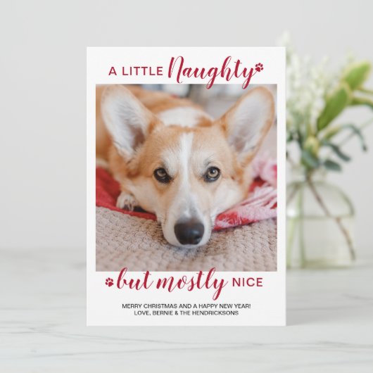 小さないけな犬パーソナライズされたのペット写真 シーズンカード (スタンド正面)