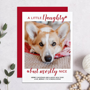 小さないけな犬パーソナライズされたのペット写真 シーズンカード