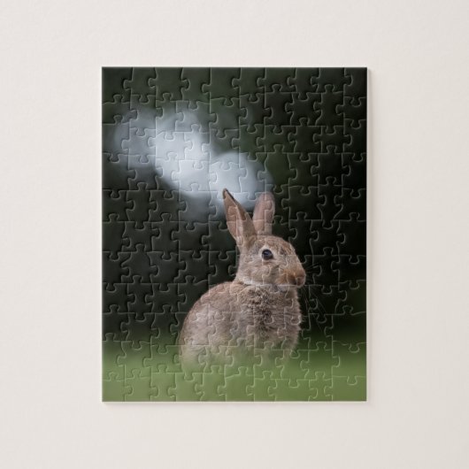 小さなうさぎの自然写真 ジグソーパズル (縦)