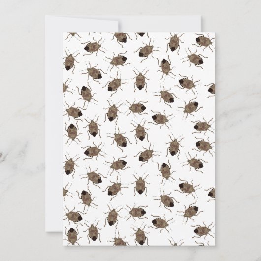 小さなおもしろい悪臭の茶色の悪臭バグ誕生日 招待状 (裏面)